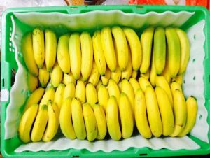 Temperature Humidity Recorder For Bananas