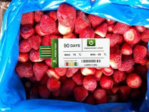 How to use the strawberry temperature data logger