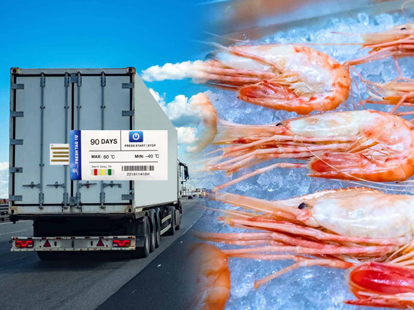 Temperature data tracker for seafood cold chain transportation