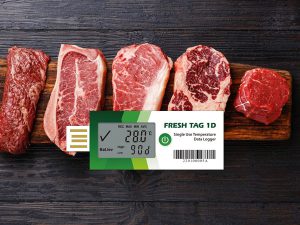 visual fresh beef temperature recorder