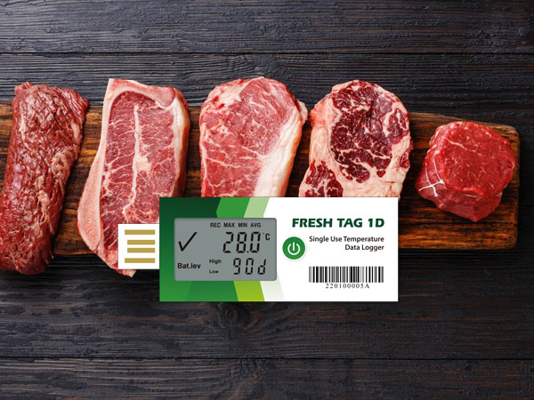 Visual fresh beef temperature recorder