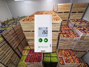 Reusable food temperature data logger